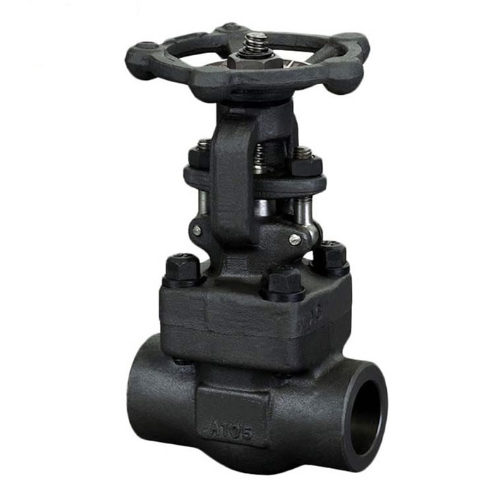 Forged Steel Gate Valve