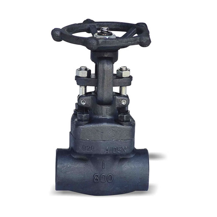 Forged Steel Globe Valve