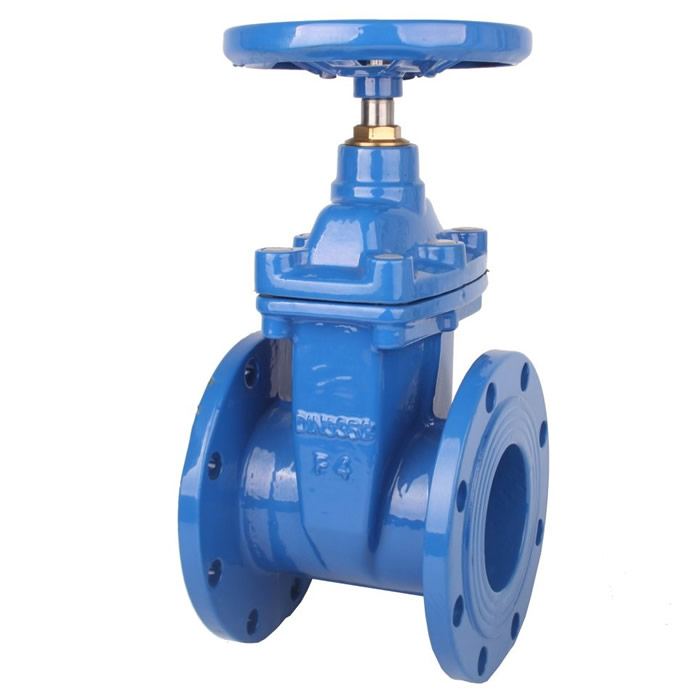 Rising Stem Gate Valve