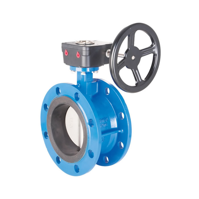 Soft Seal Butterfly Valve